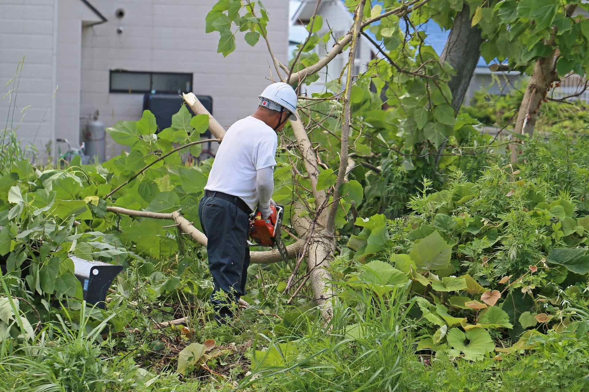 暮らしを守る環境整備の専門家の仕事