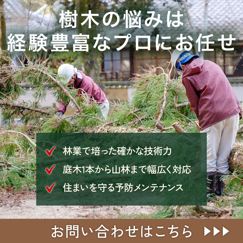 modal_banner